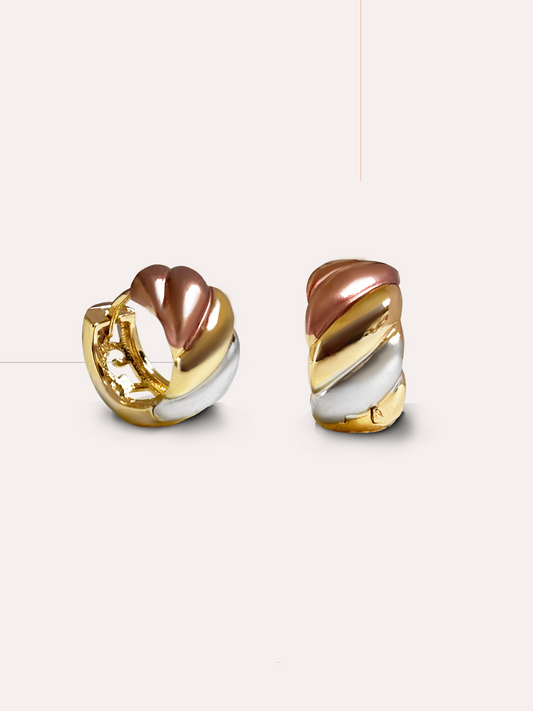 Aretes aro tritono PUNTO JOYERIA