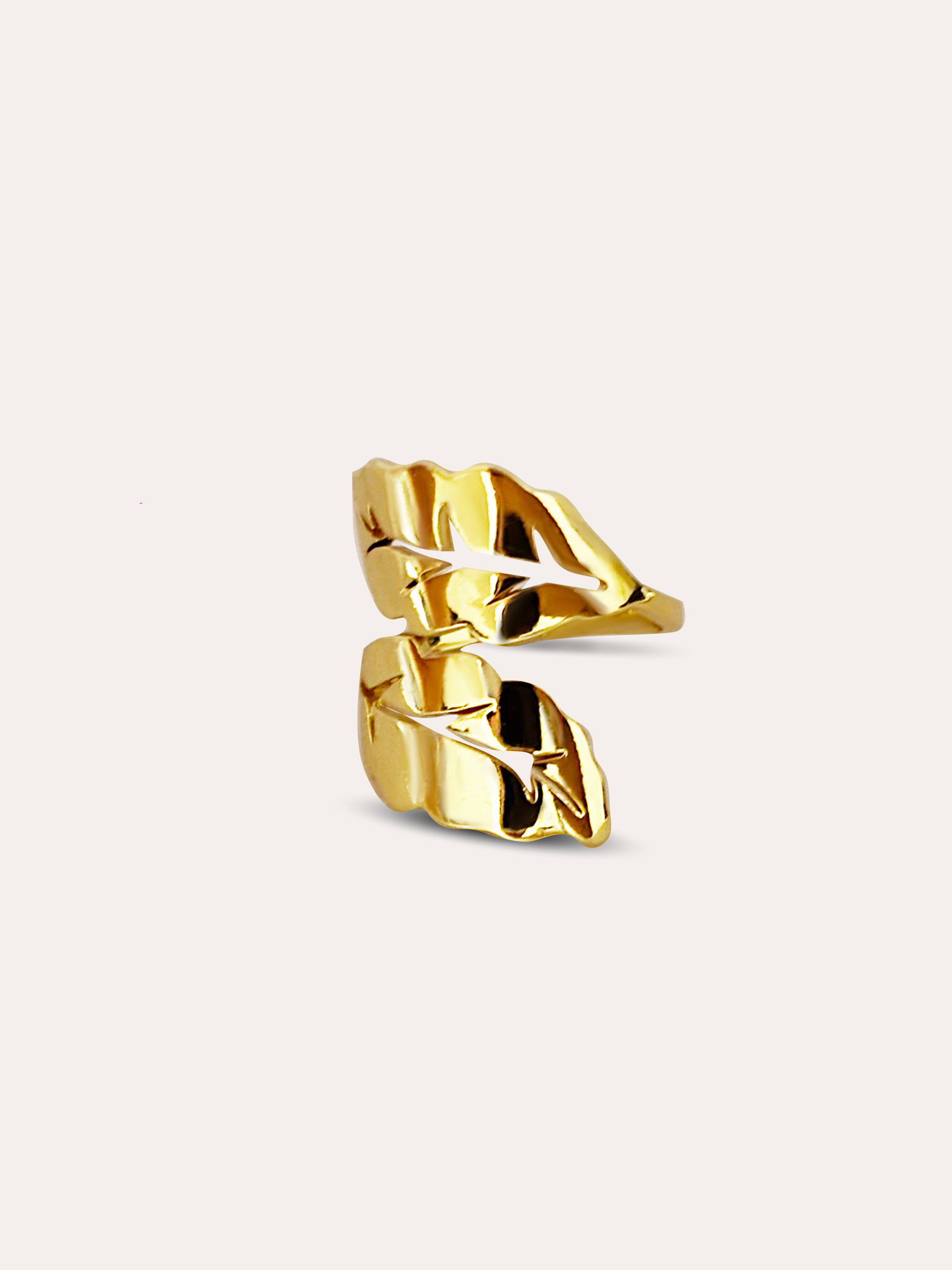 Anillo ajustable hoja baño de oro PUNTO JOYERIA
