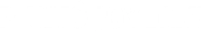 Punto Joyeria logo